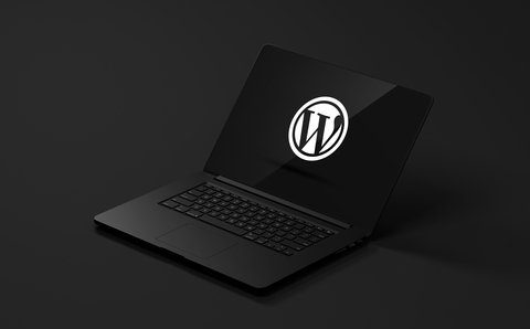 WordPress Course for Beginners