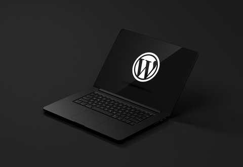 WordPress Course for Beginners